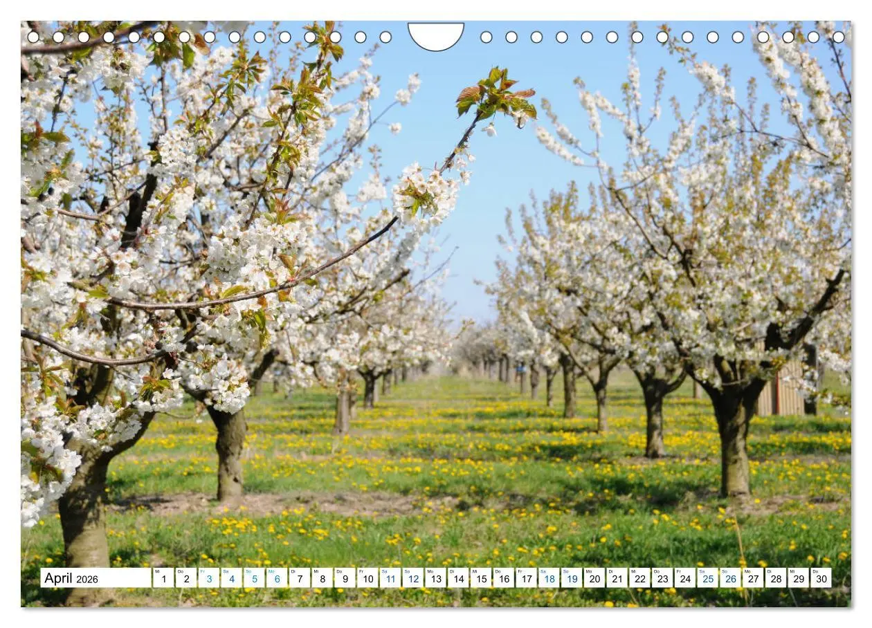 Bild: 9783457862667 | Land Brandenburg - Natur und Erholung im märkischen Land...