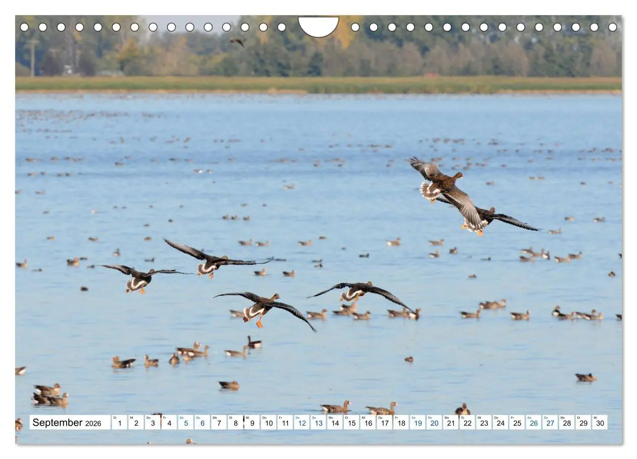 Bild: 9783457862667 | Land Brandenburg - Natur und Erholung im märkischen Land...