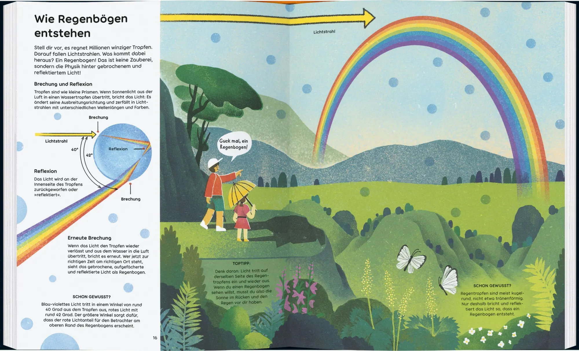 Bild: 9783836962667 | Regenbogen | Fakten &amp; Faszinierendes | Rachael Davis | Buch | 64 S.