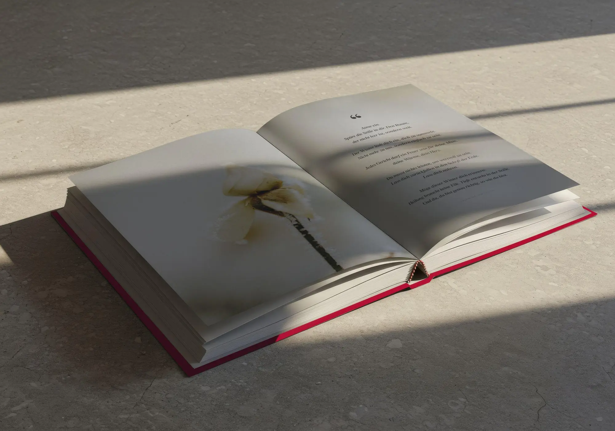 Bild: 9783949822667 | Forever Beautiful | Susanne Abbassian Korasani | Buch | 240 S. | 2026