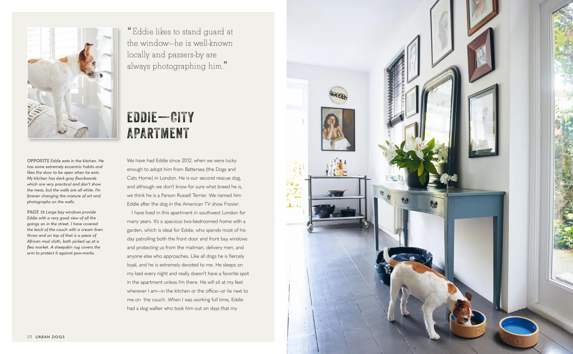 Bild: 9781800652767 | Cool Dogs, Cool Homes | Living in Style with Your Pet Pooch | James
