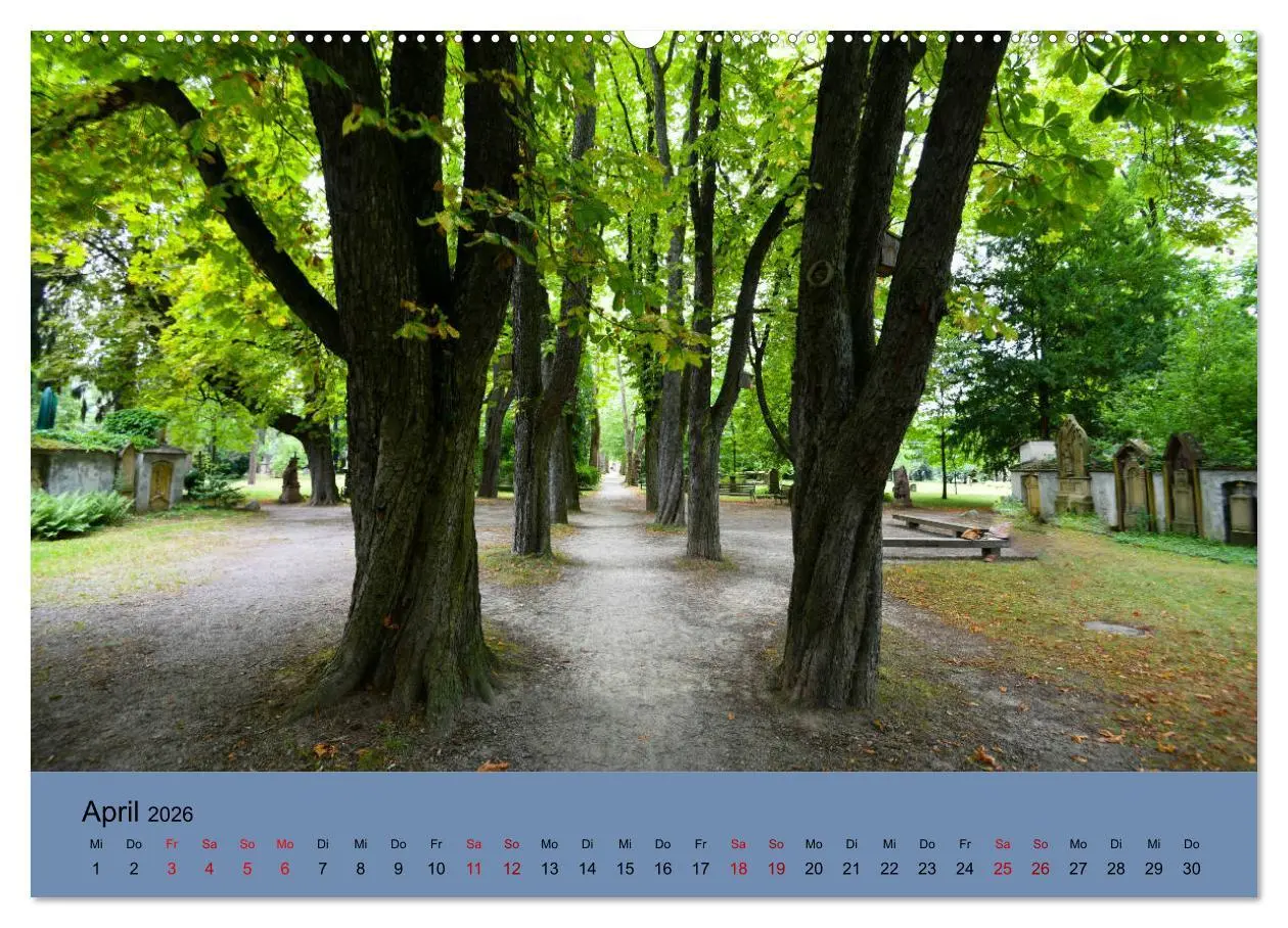 Bild: 9783457852767 | Wundervolles Freiburg (Wandkalender 2026 DIN A2 quer), CALVENDO...