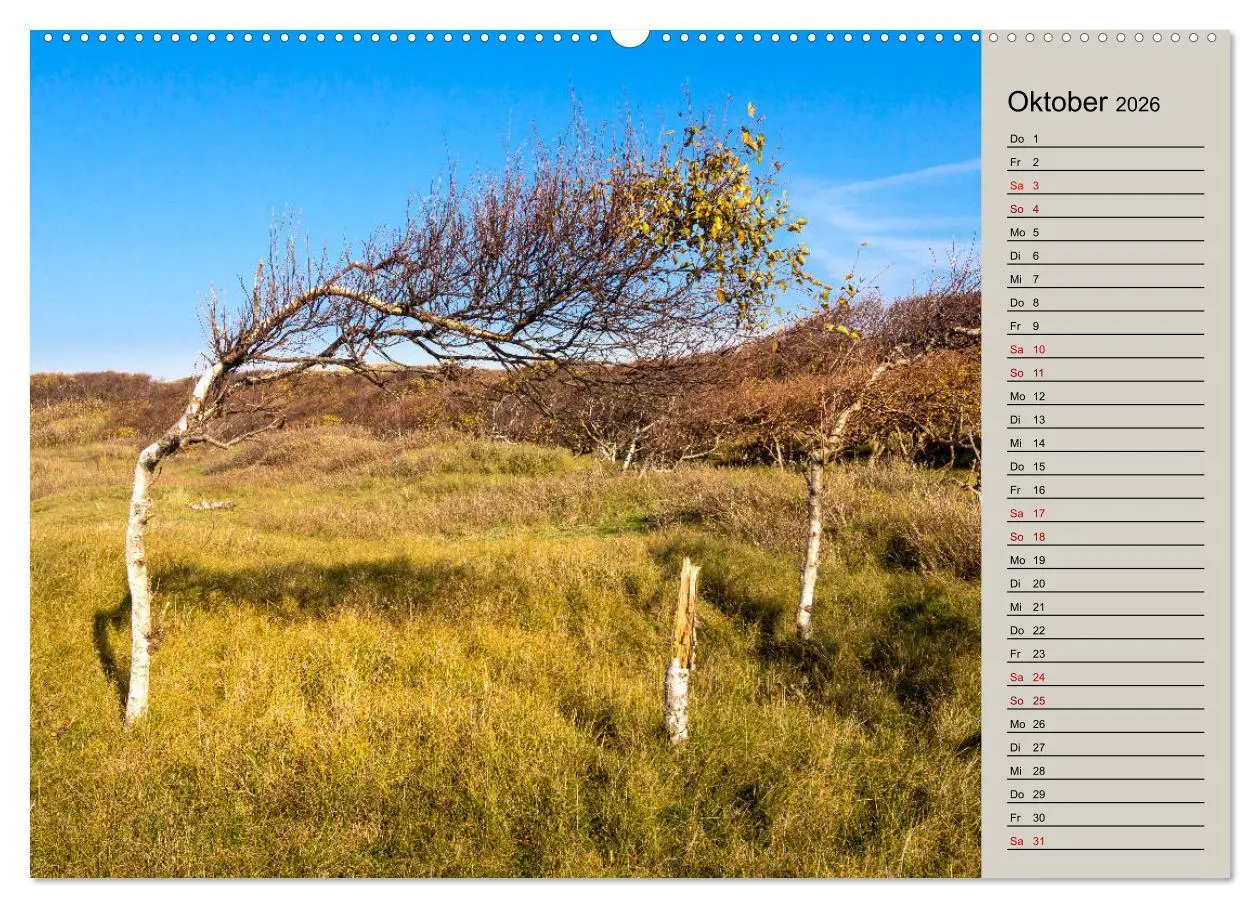 Bild: 9783457842867 | NORDERNEY Geburtstagskalender mit Planerfunktion (Wandkalender 2026...