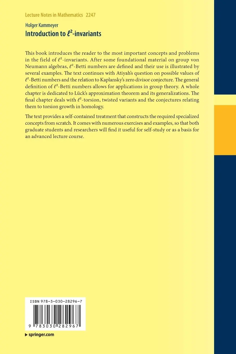 Rückseite: 9783030282967 | Introduction to ¿²-invariants | Holger Kammeyer | Taschenbuch | viii