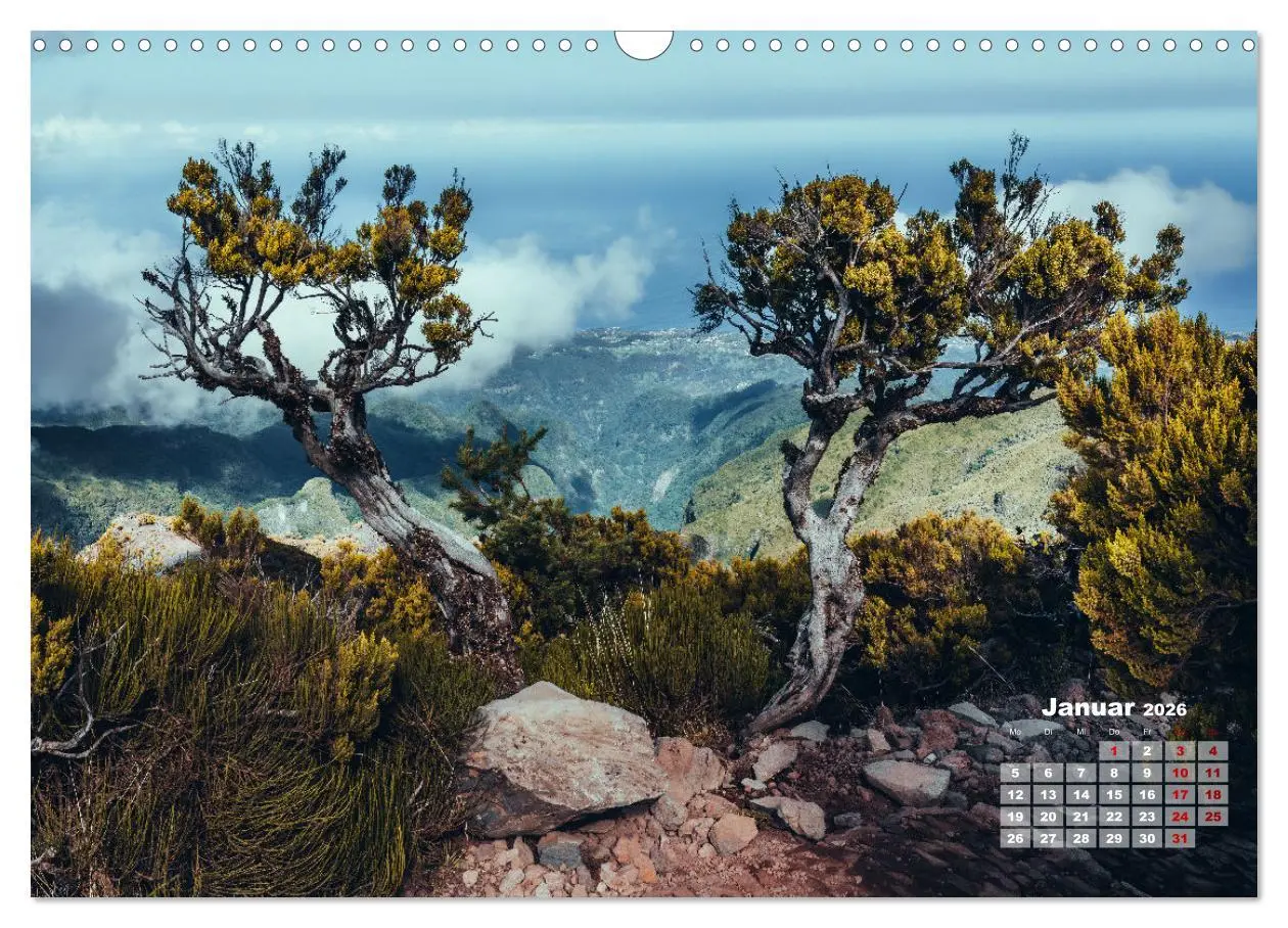 Bild: 9783457522967 | Trauminsel Madeira (Wandkalender 2026 DIN A3 quer), CALVENDO...