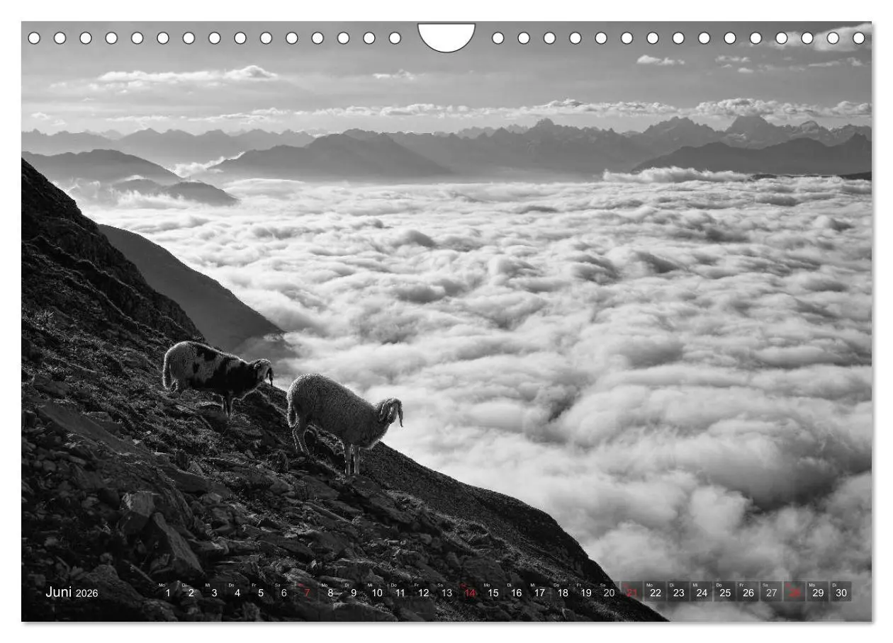 Bild: 9783516092967 | Bergsucht 2026 (Wandkalender 2026 DIN A4 quer), CALVENDO...