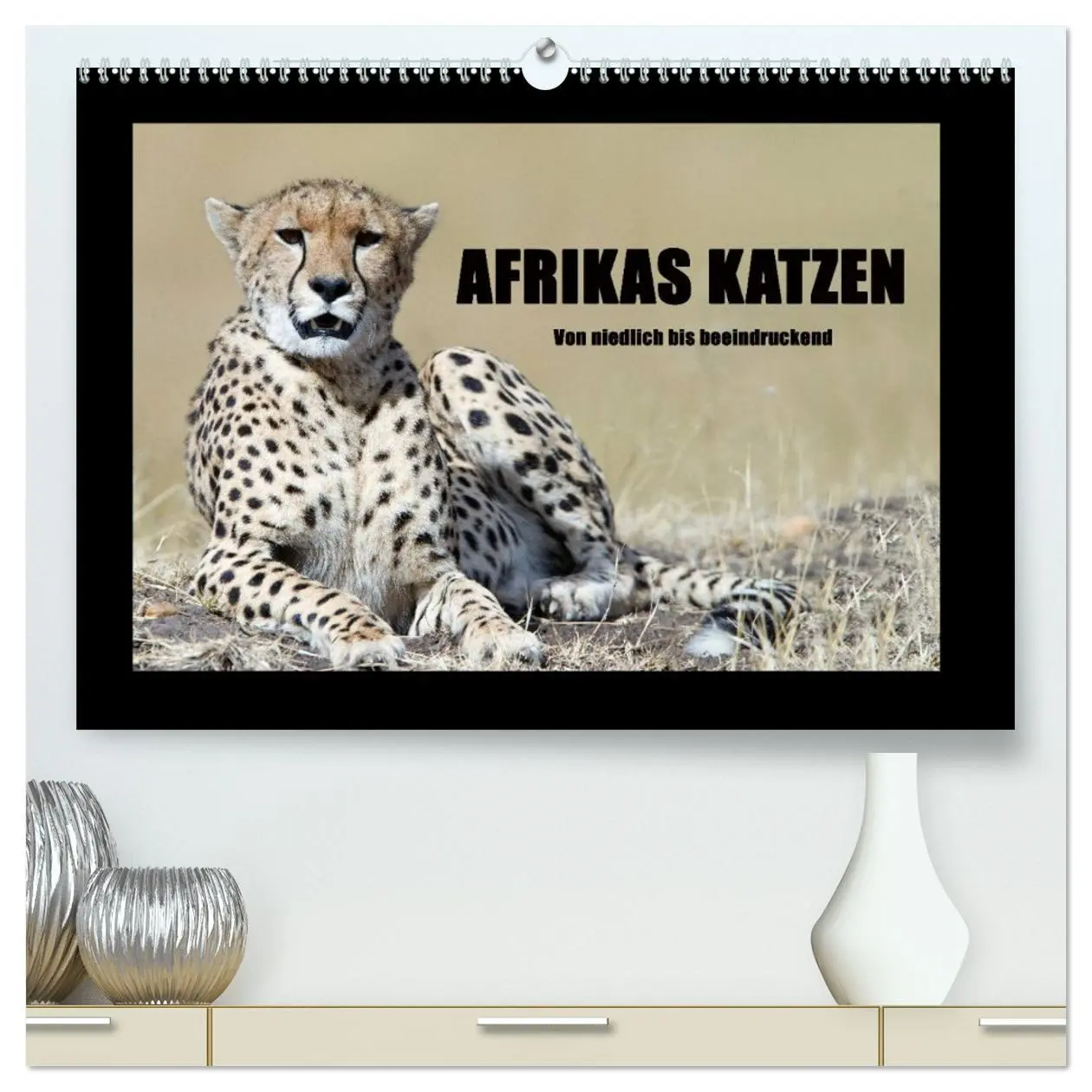 Cover: 9783516162967 | Afrikas Katzen (hochwertiger Premium Wandkalender 2026 DIN A2...