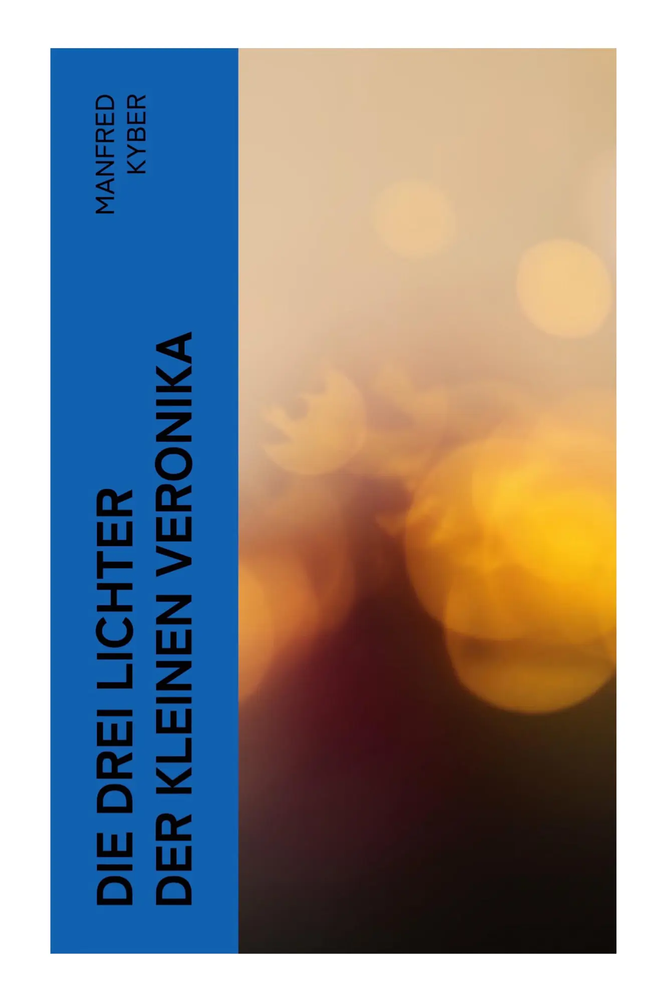 Cover: 9788027362967 | Die drei Lichter der kleinen Veronika | Manfred Kyber | Taschenbuch