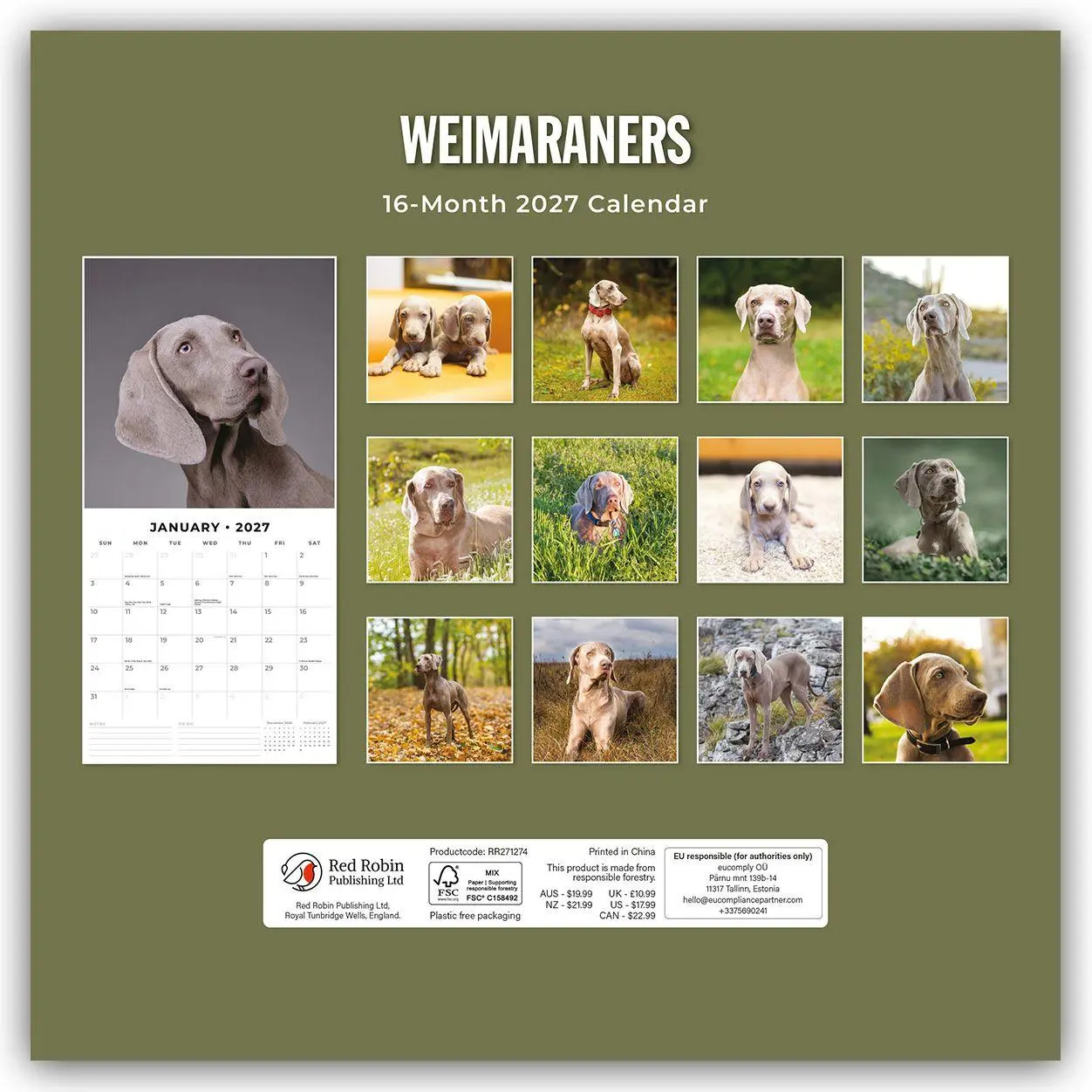 Rückseite: 9781837013067 | Weimaraners - Weimaraner 2027 - 16-Monatskalender | Robin Red | 28 S.