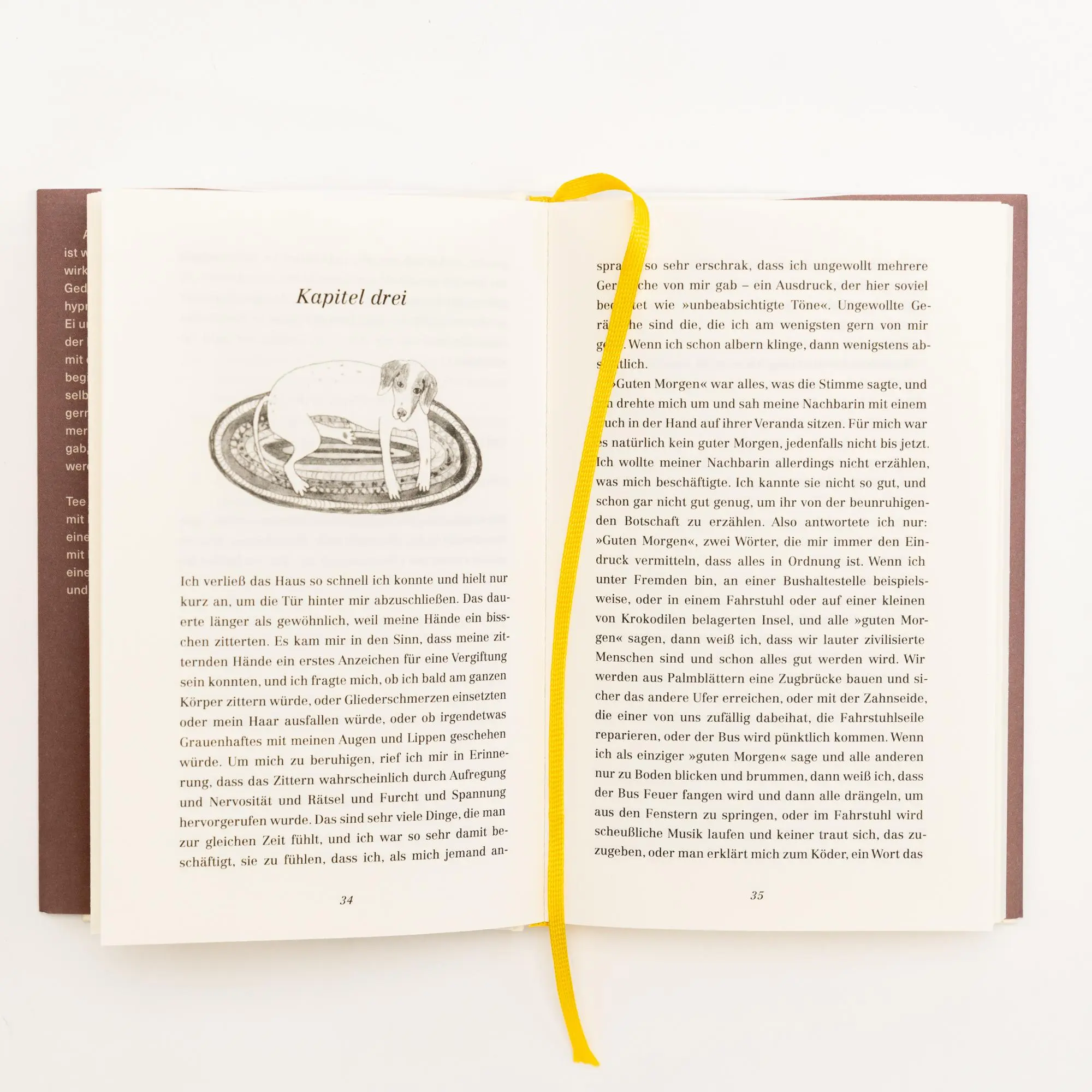 Bild: 9783312013067 | Gift zum Frühstück | Lemony Snicket | Buch | 160 S. | Deutsch | 2023
