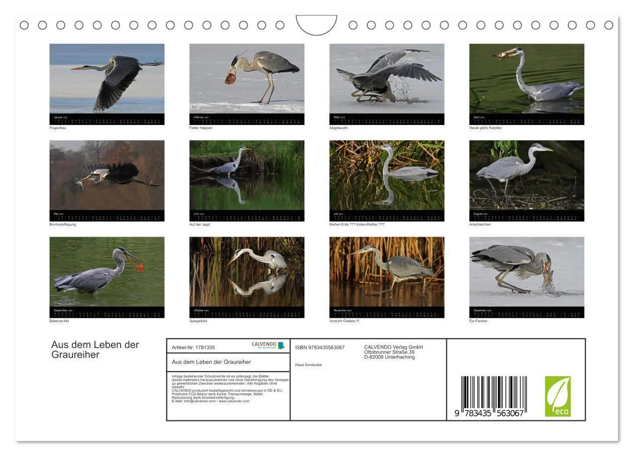 Bild: 9783435563067 | Aus dem Leben der Graureiher (Wandkalender 2025 DIN A4 quer),...