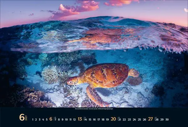 Bild: 9783819303067 | Magie der Meere 2027 | Verlag Korsch | Kalender | 14 S. | Deutsch
