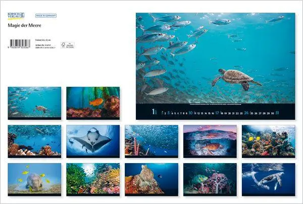 Bild: 9783819303067 | Magie der Meere 2027 | Verlag Korsch | Kalender | 14 S. | Deutsch