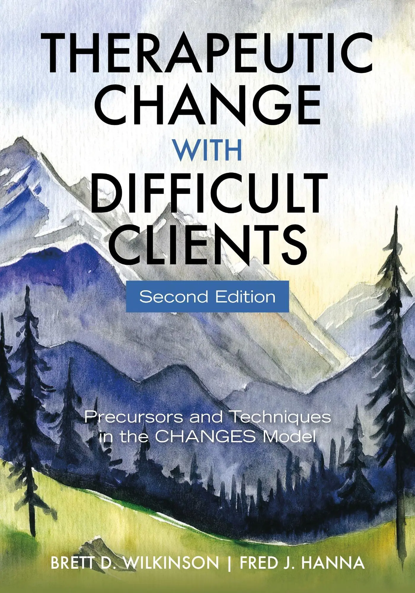 Cover: 9781433843167 | Therapeutic Change with Difficult Clients | Brett D Wilkinson (u. a.)