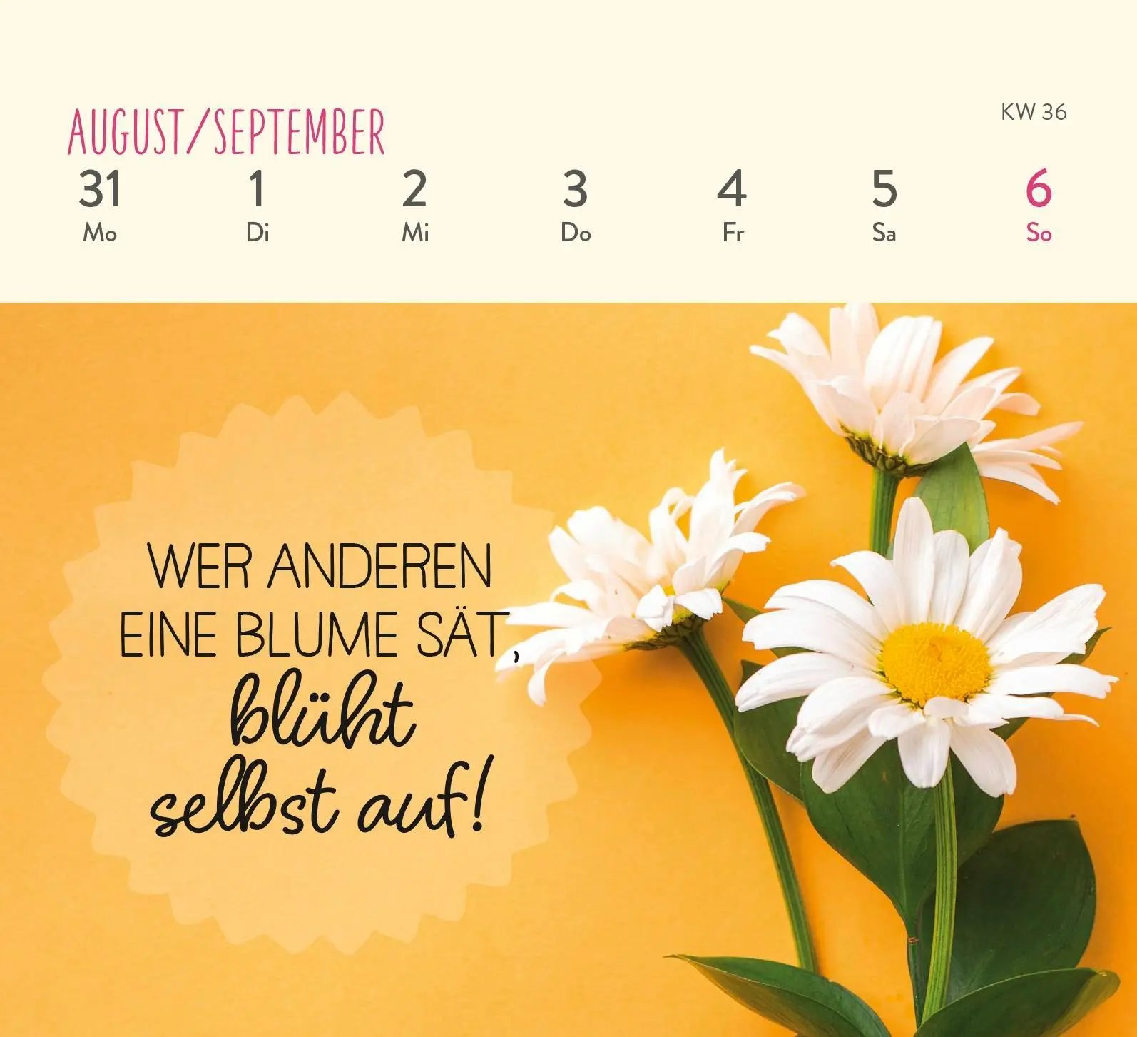 Bild: 4036442013267 | Mini-Wochenkalender 2026: Ein kleines Lächeln für jeden Tag | Kalender
