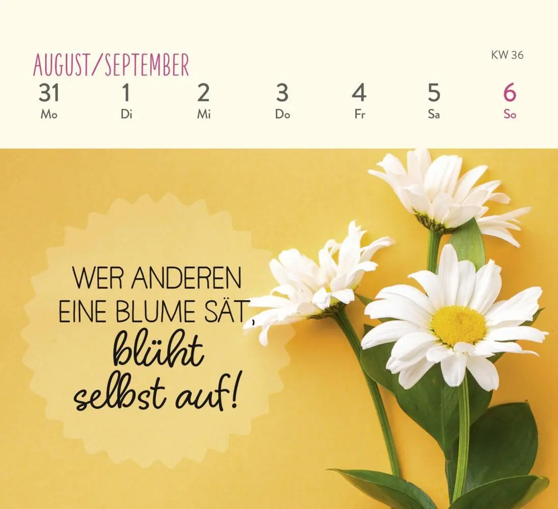 Bild: 4036442013267 | Mini-Wochenkalender 2026: Ein kleines Lächeln für jeden Tag | Kalender