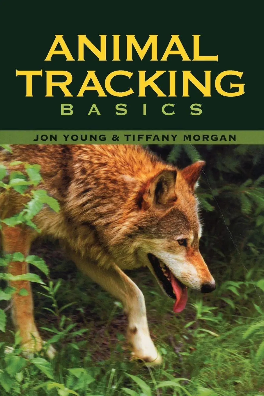Cover: 9780811733267 | Animal Tracking Basics | Tiffany Morgan (u. a.) | Taschenbuch | 2007