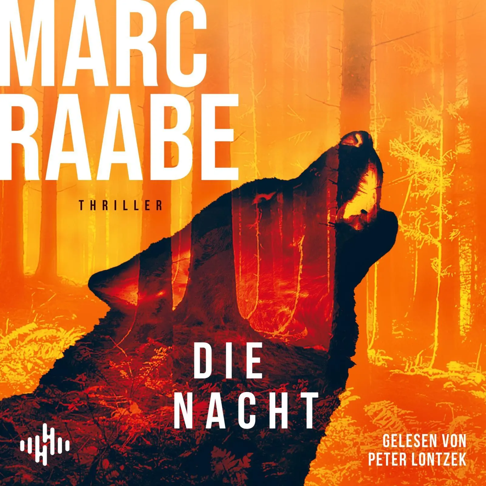 Cover: 9783957133267 | Die Nacht (Art Mayer-Serie 3) | Marc Raabe | MP3 | Deutsch | 2025