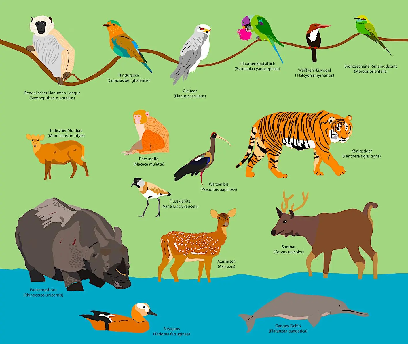 Bild: 9783982573267 | Abenteuer NEPAL | Mit dem Rucksack zwischen Bengalen und Himalaya