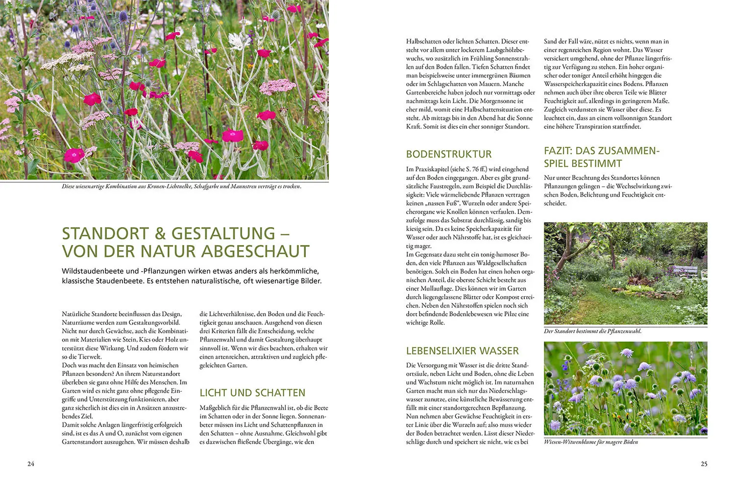 Bild: 9783440173367 | Wild &amp; bunt | Simone Kern | Taschenbuch | 128 S. | Deutsch | 2022