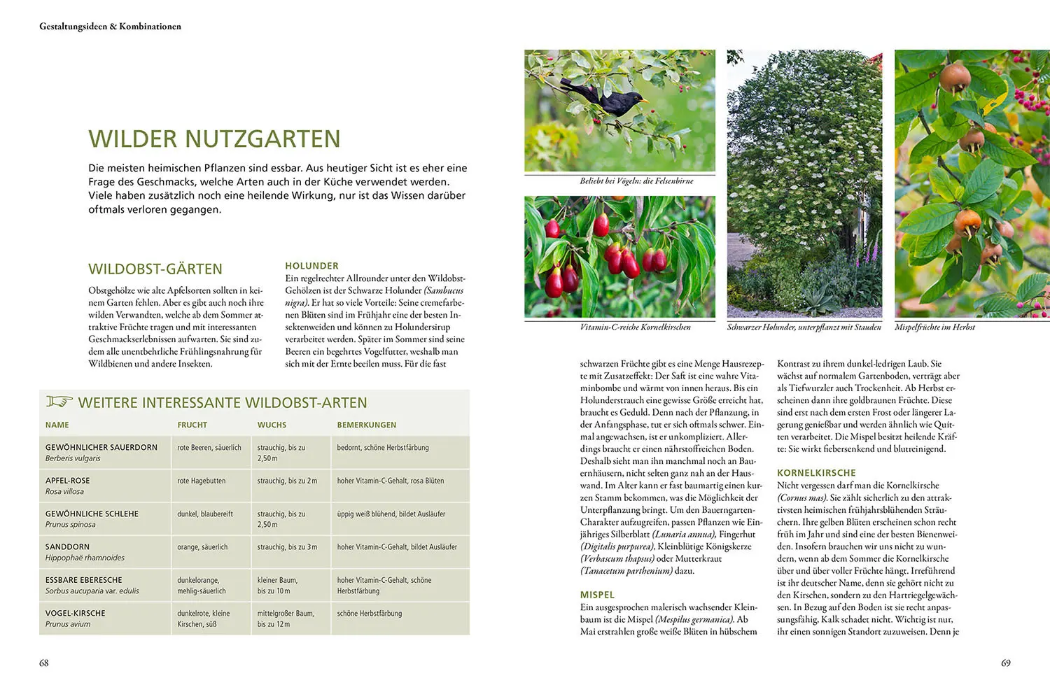Bild: 9783440173367 | Wild &amp; bunt | Simone Kern | Taschenbuch | 128 S. | Deutsch | 2022