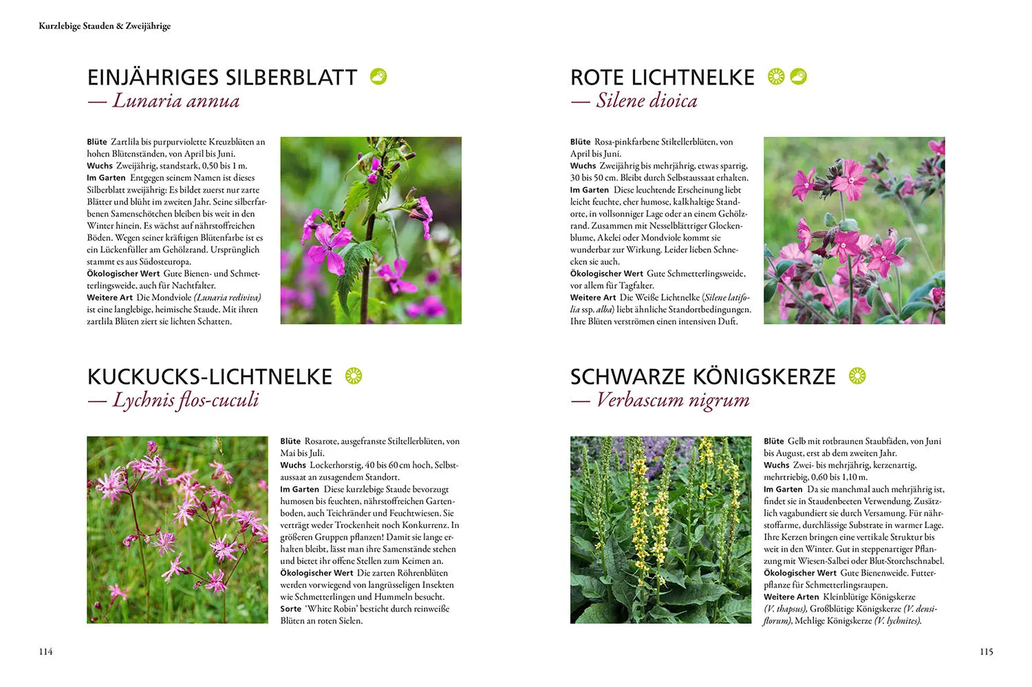 Bild: 9783440173367 | Wild &amp; bunt | Simone Kern | Taschenbuch | 128 S. | Deutsch | 2022