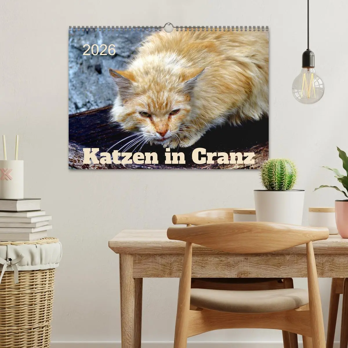 Bild: 9783457623367 | Katzen in Cranz (Wandkalender 2026 DIN A3 quer), CALVENDO...
