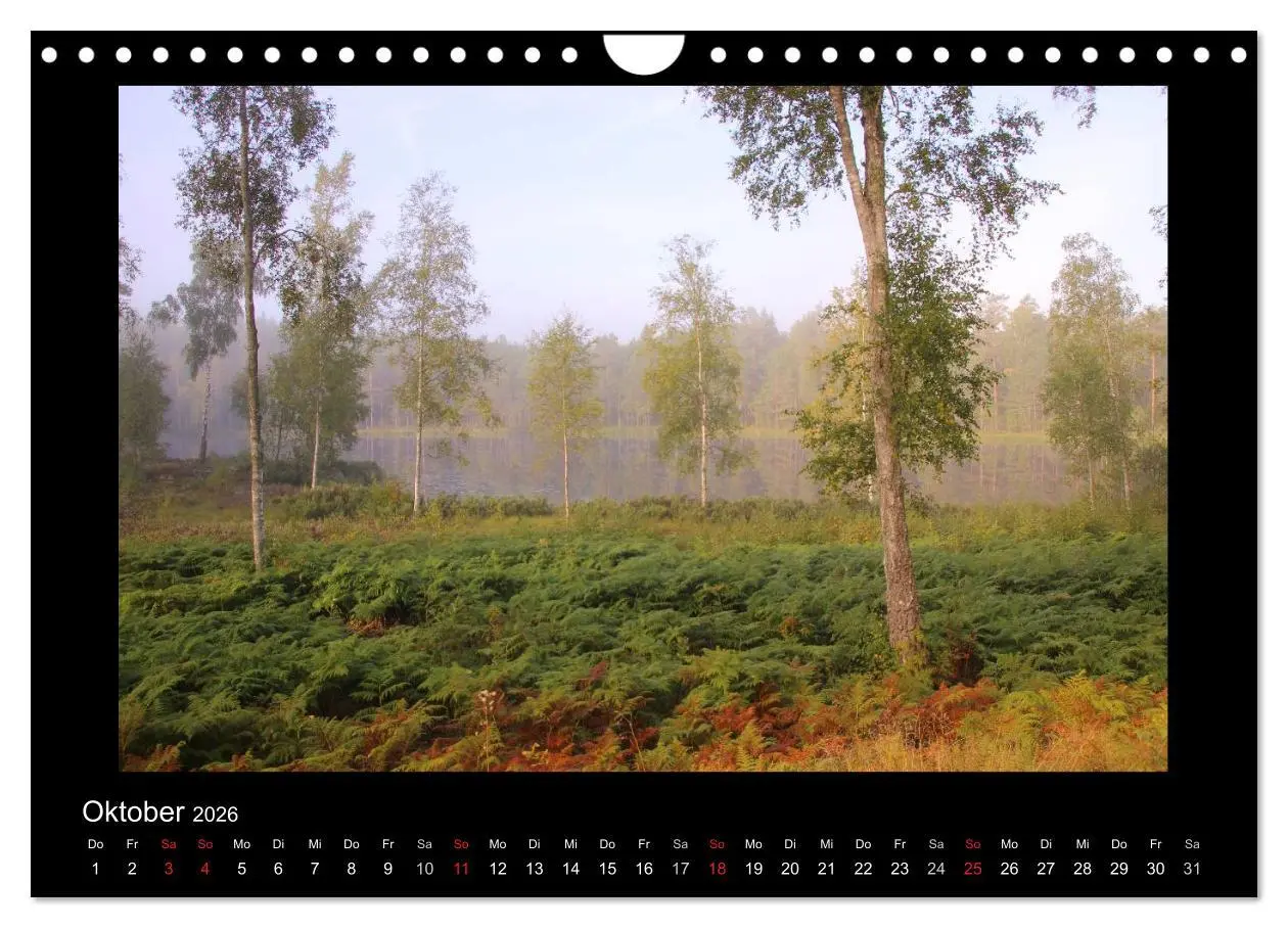 Bild: 9783516183467 | Schweden 2026 (Wandkalender 2026 DIN A4 quer), CALVENDO Monatskalender