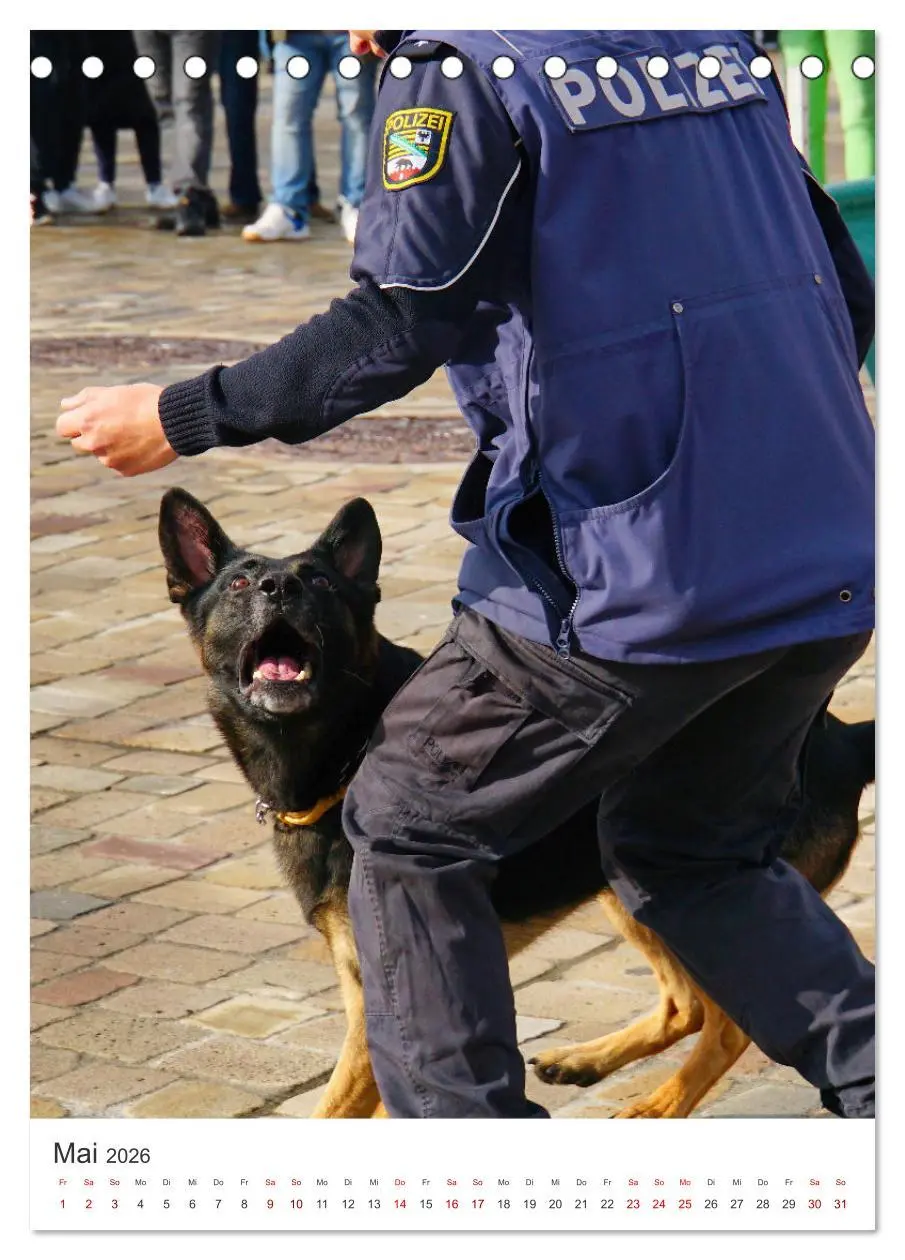 Bild: 9783516323467 | Tag der Polizei (Tischkalender 2026 DIN A5 hoch), CALVENDO...