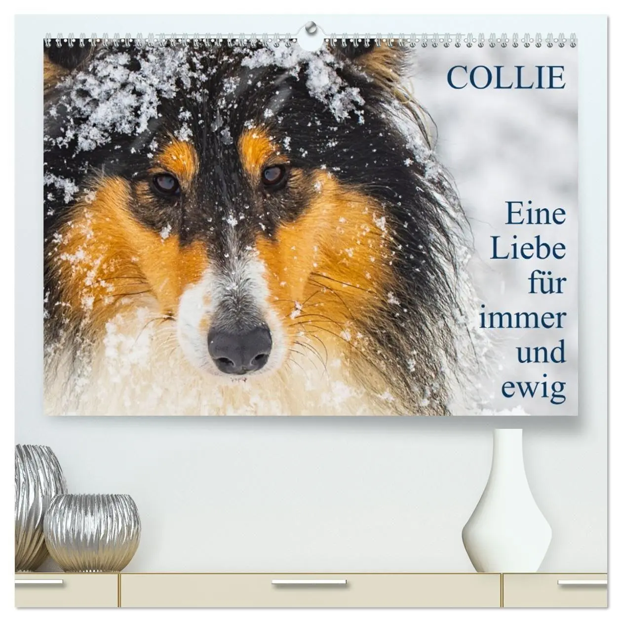 Cover: 9783569343467 | Collies - Eine Liebe für immer und ewig (hochwertiger Premium...