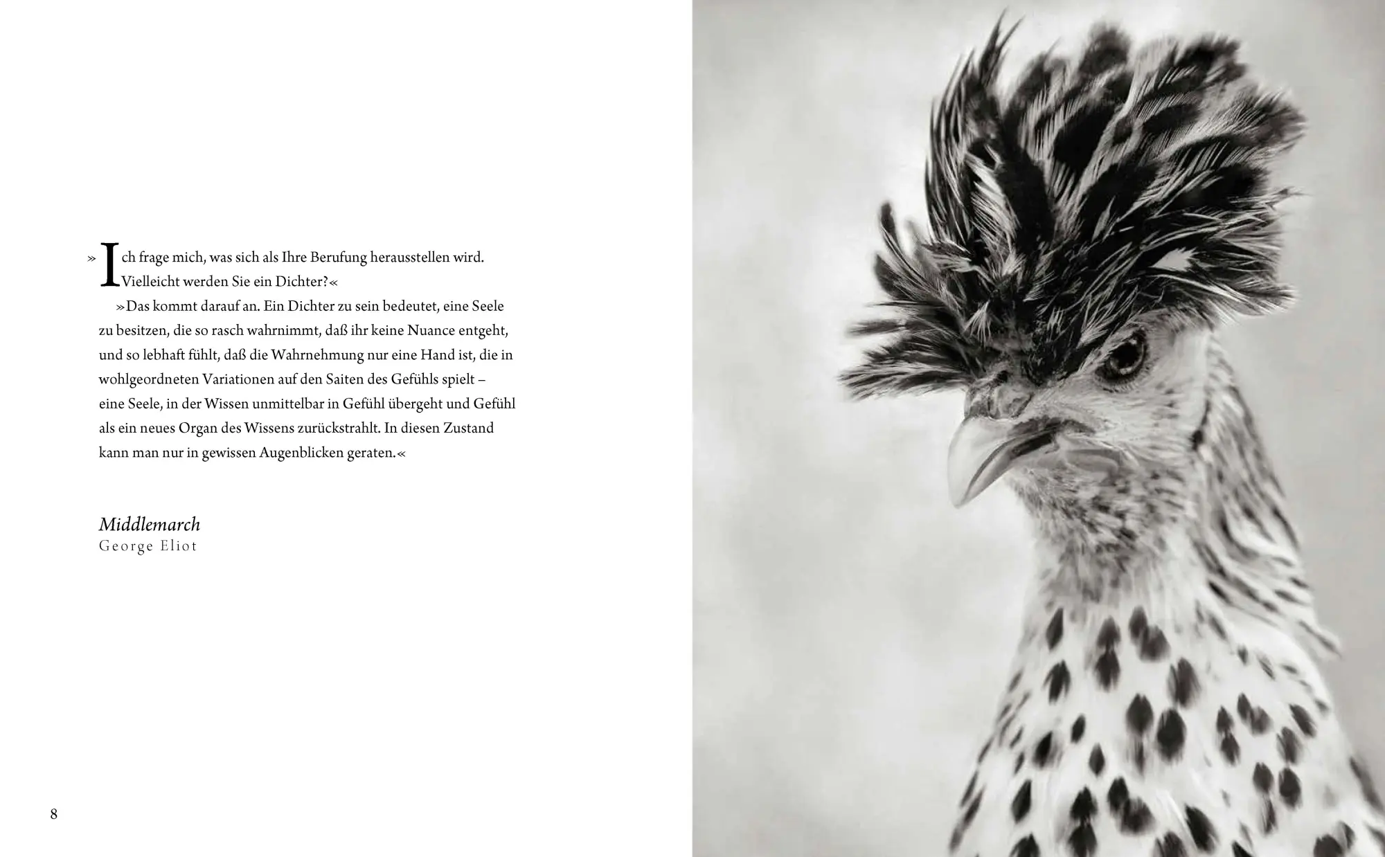 Bild: 9783945543467 | Literarische Hühner | Fotografien von Beth Moon | Beth Moon | Buch