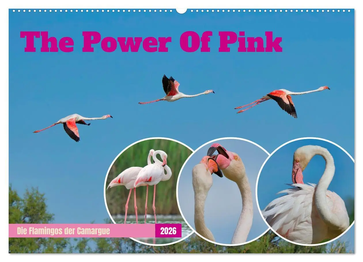 Cover: 9783457393567 | The Power Of Pink (Wandkalender 2026 DIN A2 quer), CALVENDO...