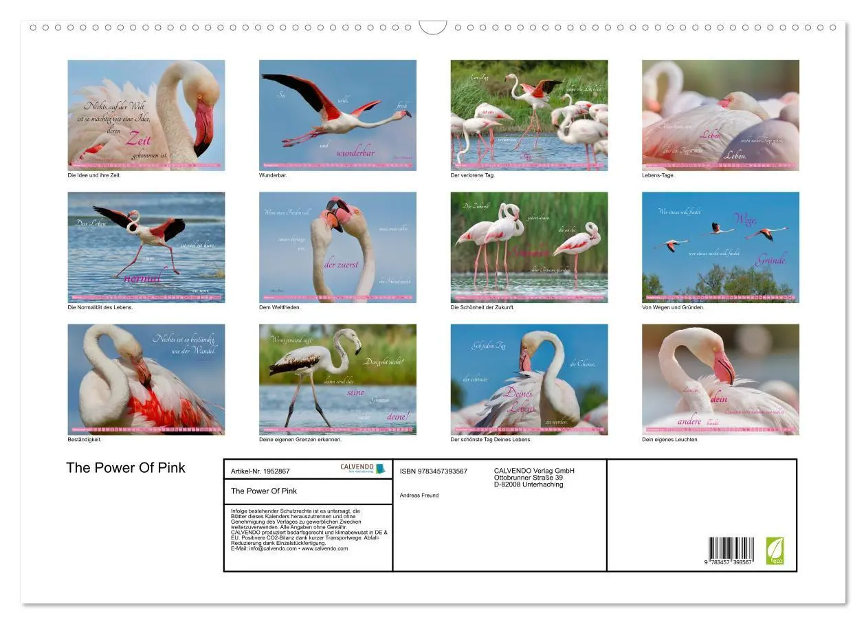 Bild: 9783457393567 | The Power Of Pink (Wandkalender 2026 DIN A2 quer), CALVENDO...