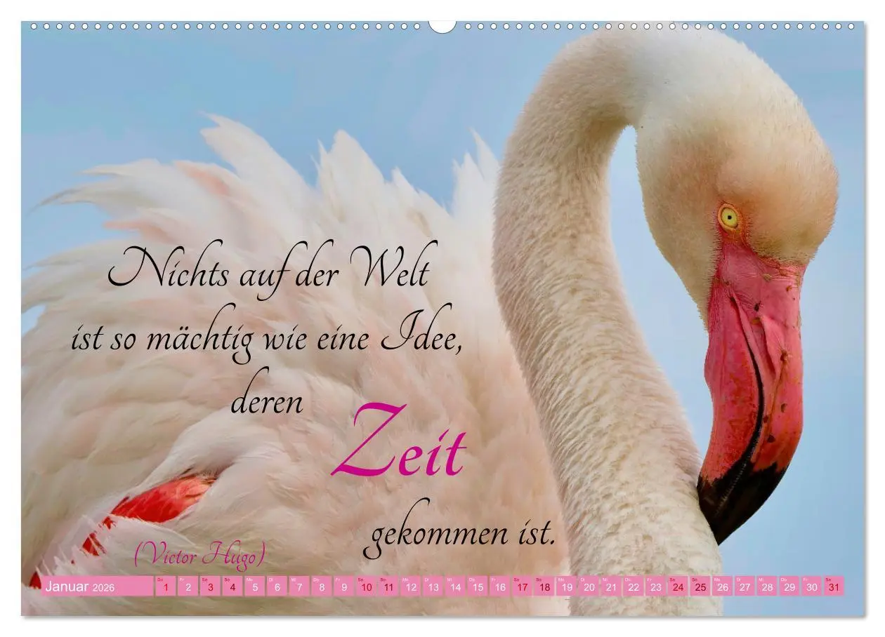 Bild: 9783457393567 | The Power Of Pink (Wandkalender 2026 DIN A2 quer), CALVENDO...