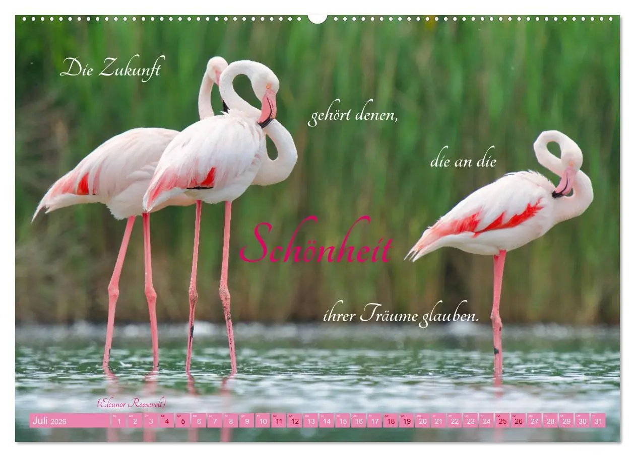 Bild: 9783457393567 | The Power Of Pink (Wandkalender 2026 DIN A2 quer), CALVENDO...