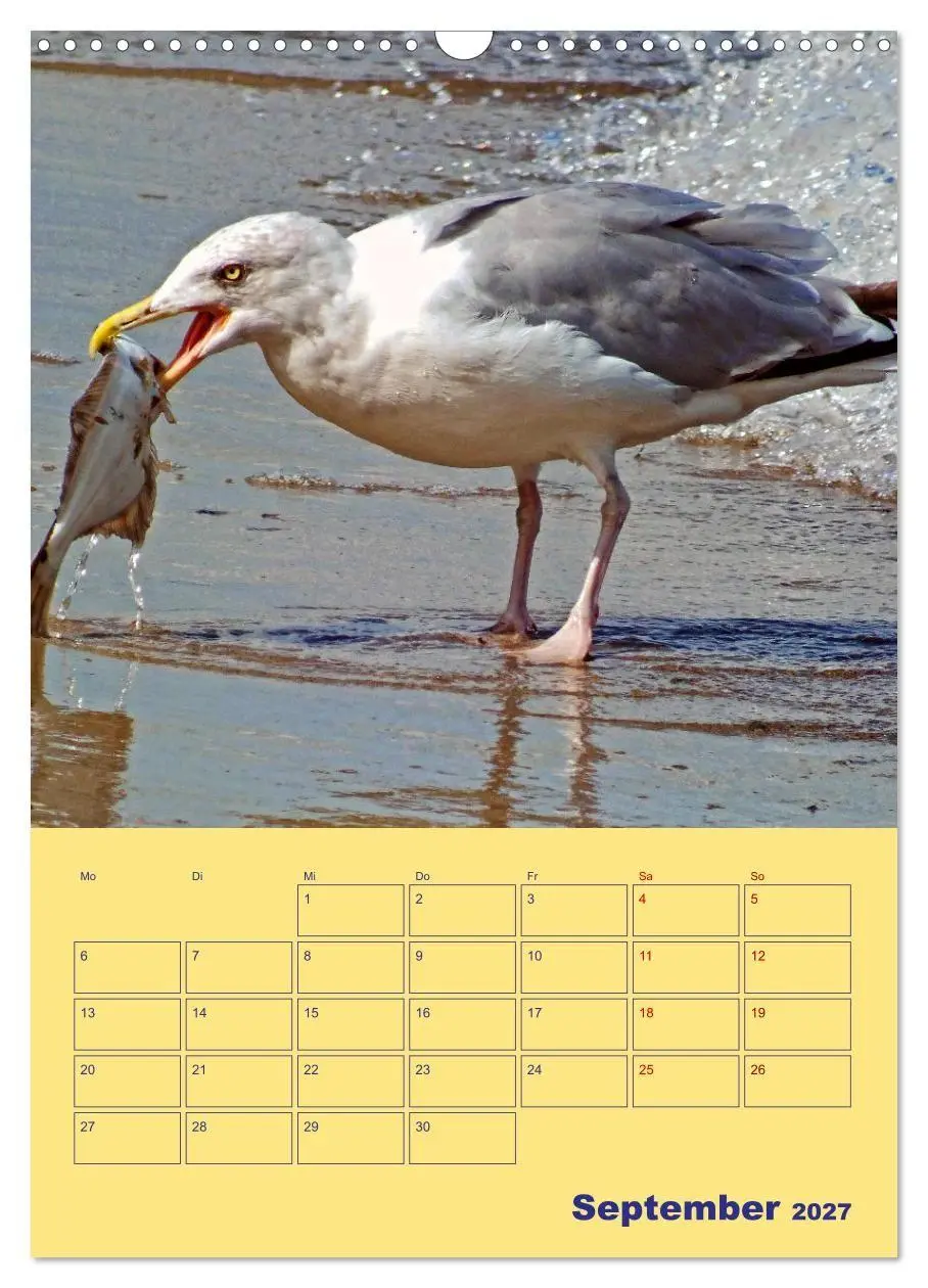 Bild: 9783569333567 | Sehnsuchtsort Warnemünde (Wandkalender 2027 DIN A3 hoch), CALVENDO...