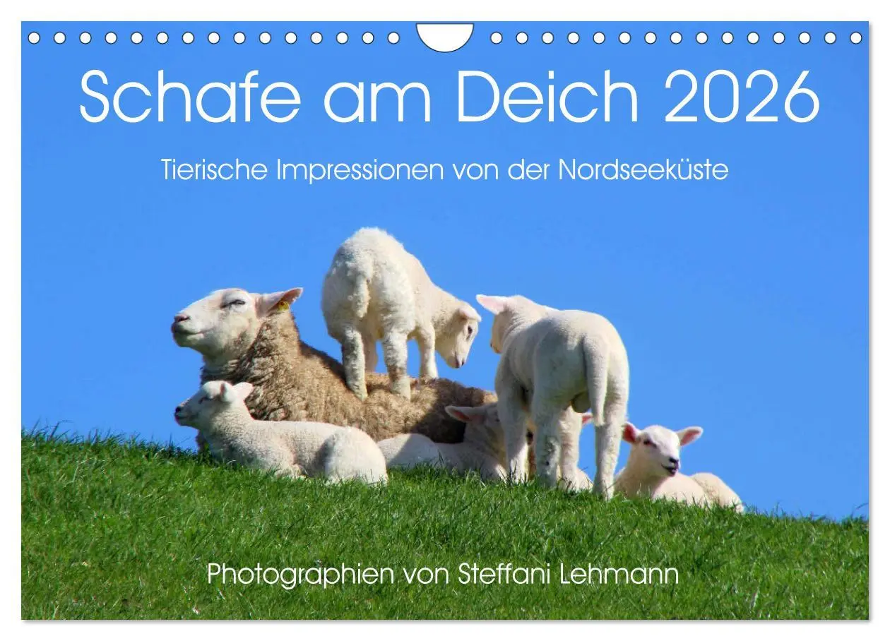 Cover: 9783516093667 | Schafe am Deich 2026. Tierische Impressionen von der Nordseeküste...