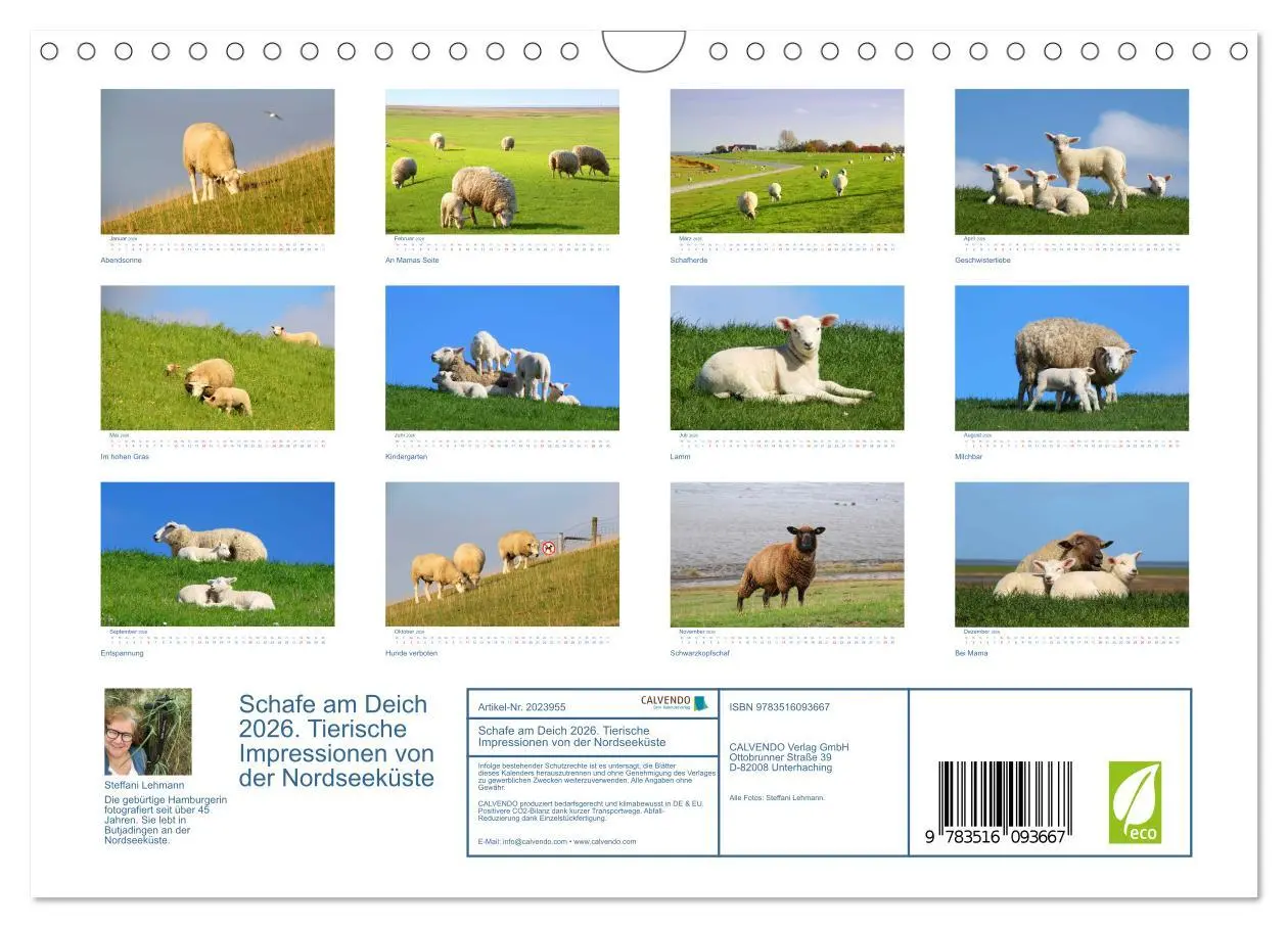 Bild: 9783516093667 | Schafe am Deich 2026. Tierische Impressionen von der Nordseeküste...
