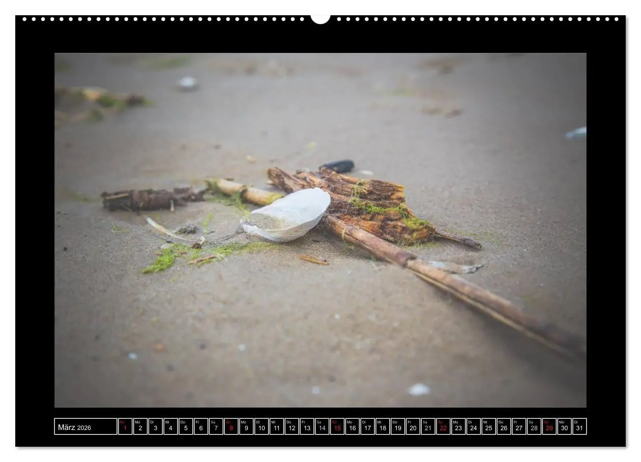 Bild: 9783516163667 | Usedom - Träume einer Insel (Wandkalender 2026 DIN A2 quer),...