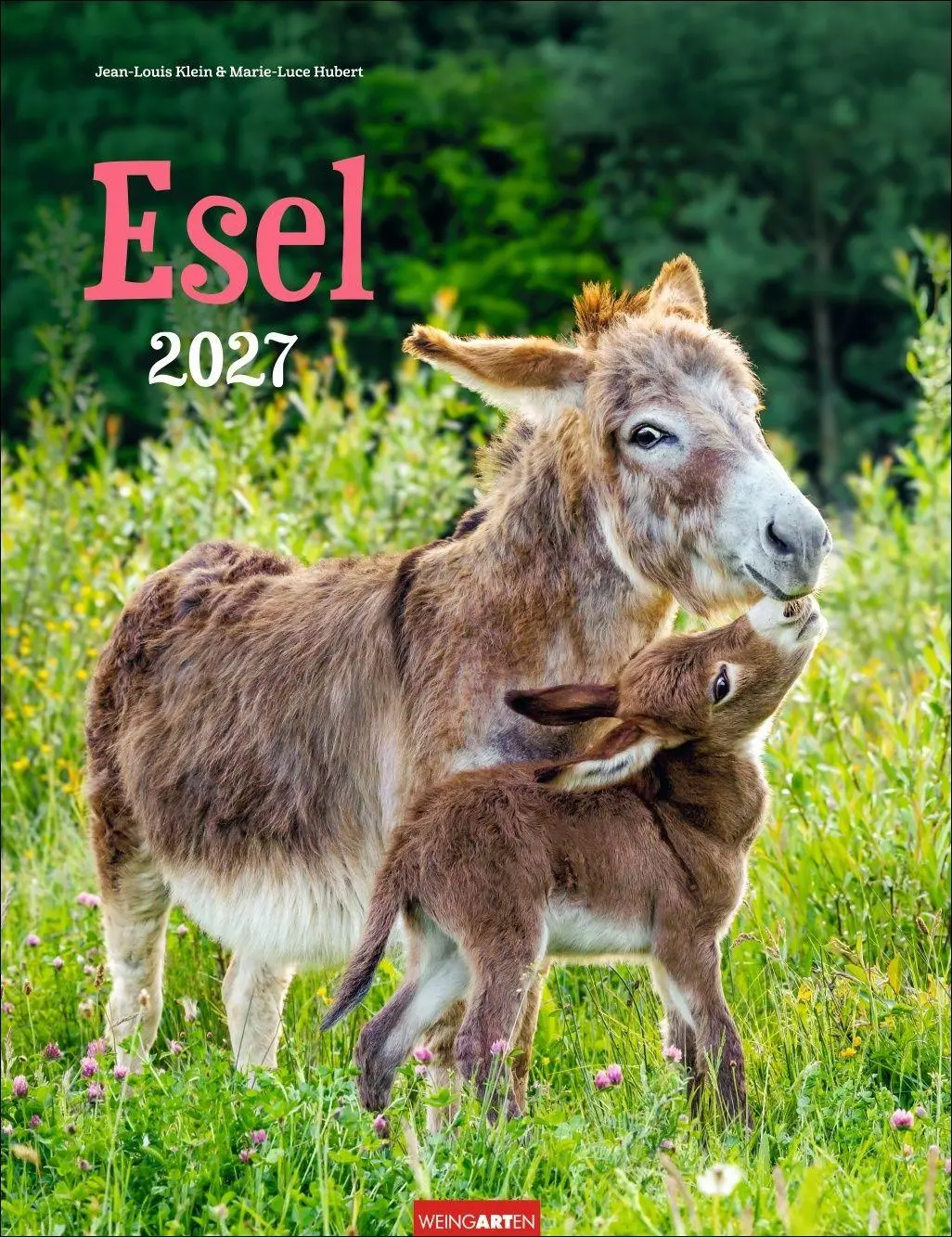 Cover: 9783839903667 | Esel Kalender 2027 | Marie-Luce Hubert | Kalender | Spiralbindung