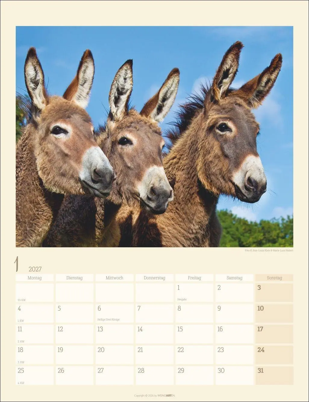 Bild: 9783839903667 | Esel Kalender 2027 | Marie-Luce Hubert | Kalender | Spiralbindung