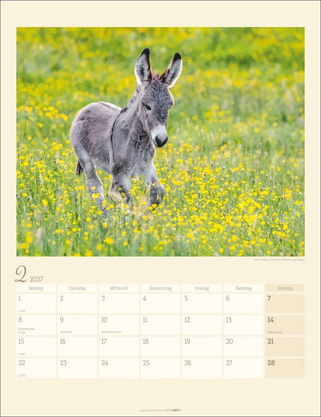 Bild: 9783839903667 | Esel Kalender 2027 | Marie-Luce Hubert | Kalender | Spiralbindung