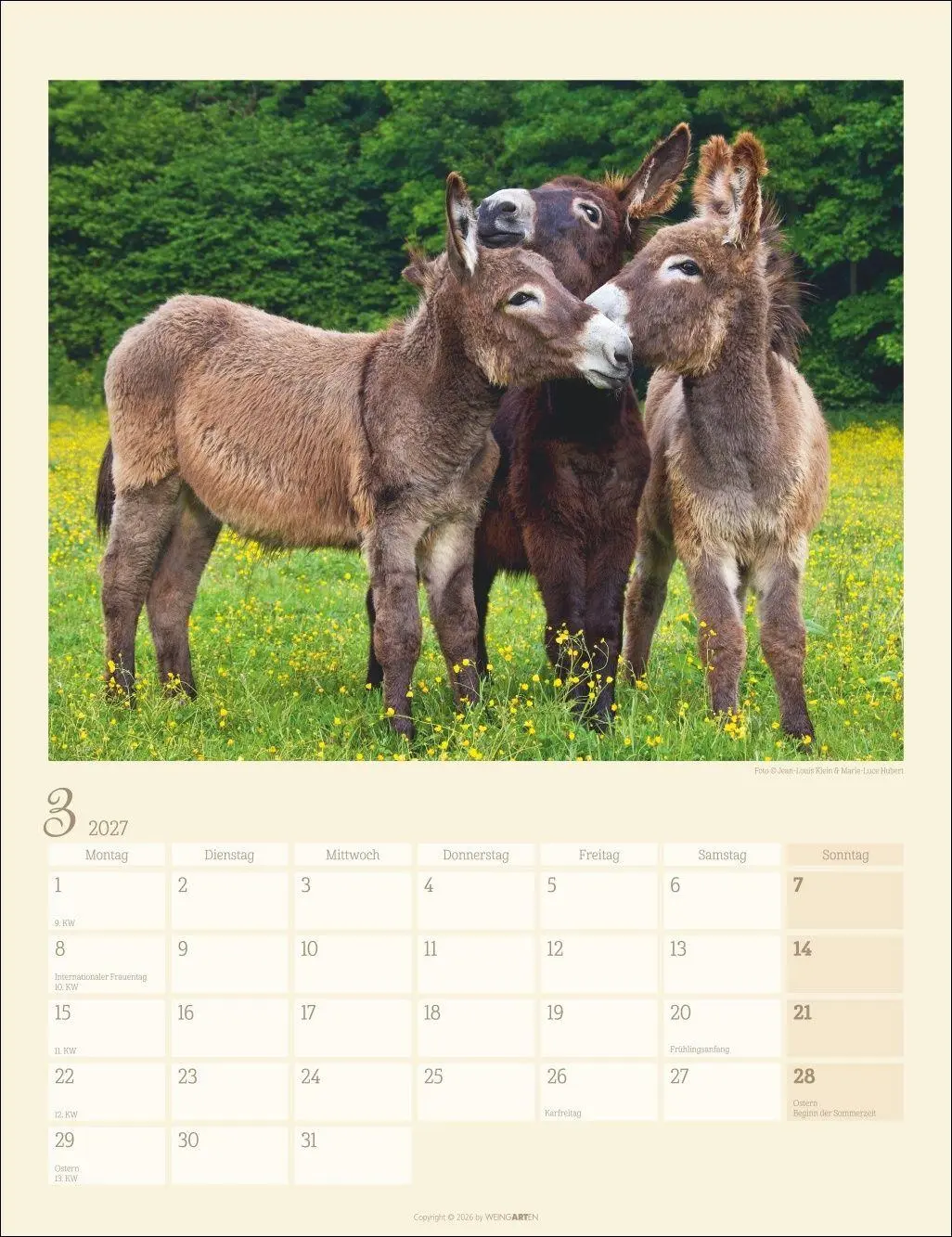 Bild: 9783839903667 | Esel Kalender 2027 | Marie-Luce Hubert | Kalender | Spiralbindung
