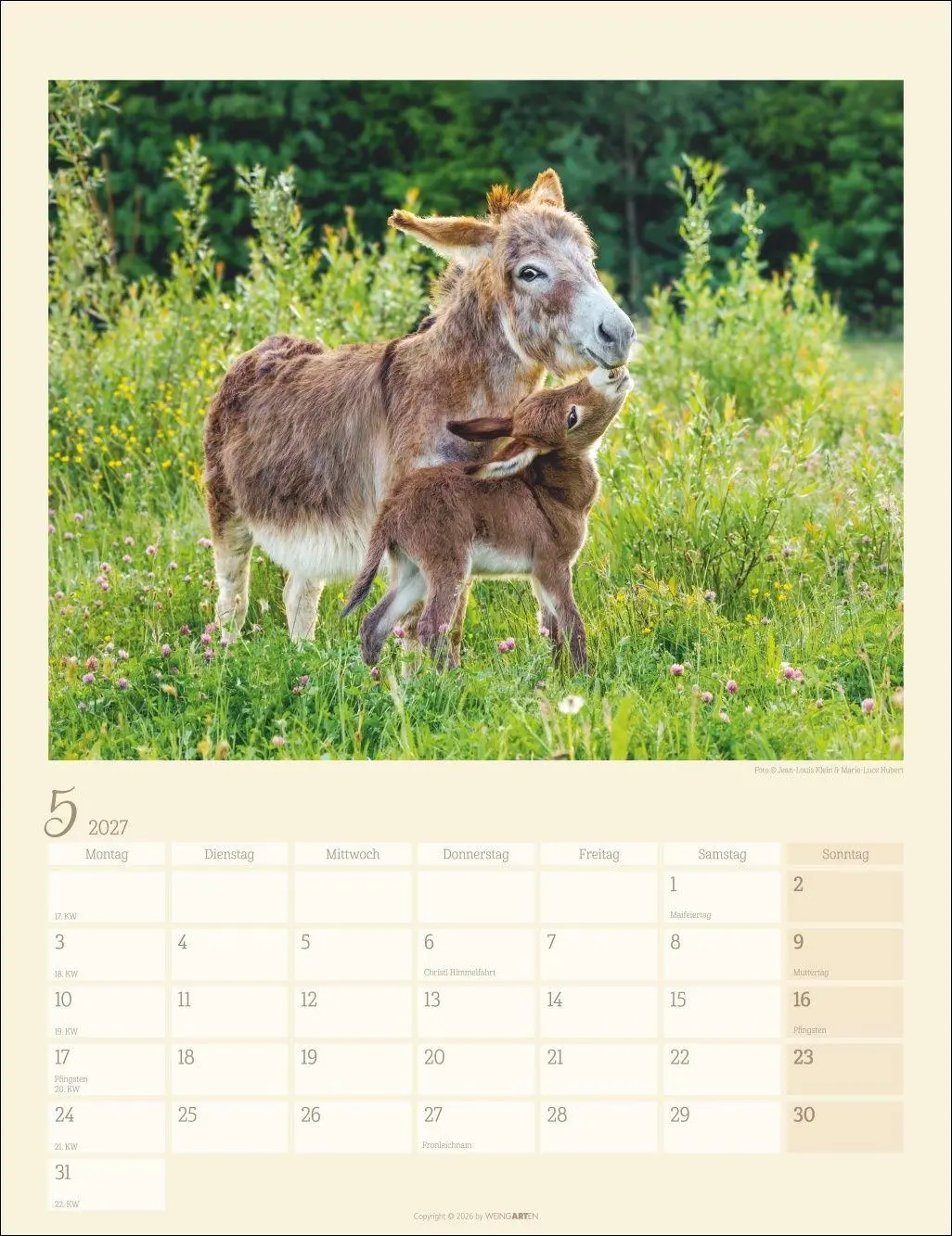 Bild: 9783839903667 | Esel Kalender 2027 | Marie-Luce Hubert | Kalender | Spiralbindung