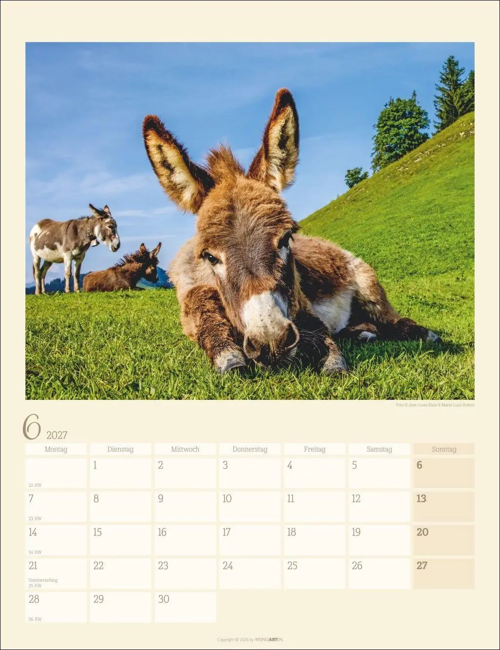 Bild: 9783839903667 | Esel Kalender 2027 | Marie-Luce Hubert | Kalender | Spiralbindung
