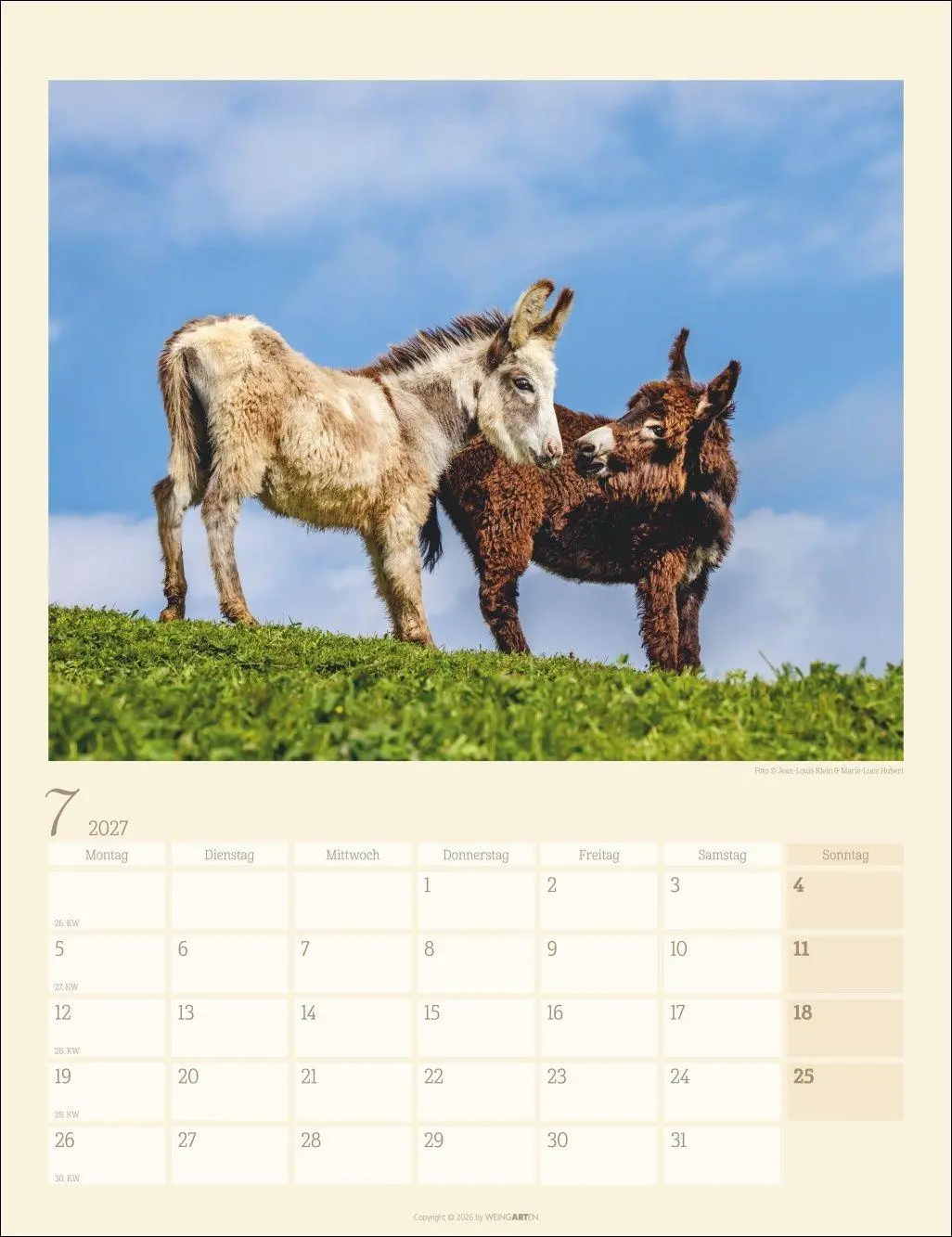 Bild: 9783839903667 | Esel Kalender 2027 | Marie-Luce Hubert | Kalender | Spiralbindung