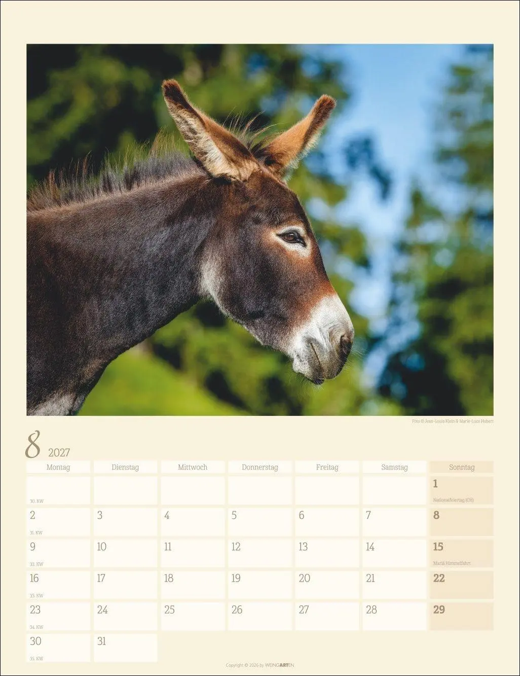 Bild: 9783839903667 | Esel Kalender 2027 | Marie-Luce Hubert | Kalender | Spiralbindung