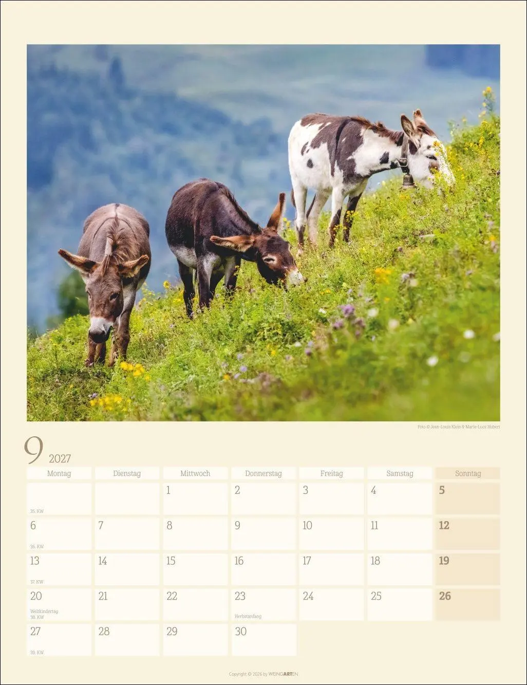Bild: 9783839903667 | Esel Kalender 2027 | Marie-Luce Hubert | Kalender | Spiralbindung