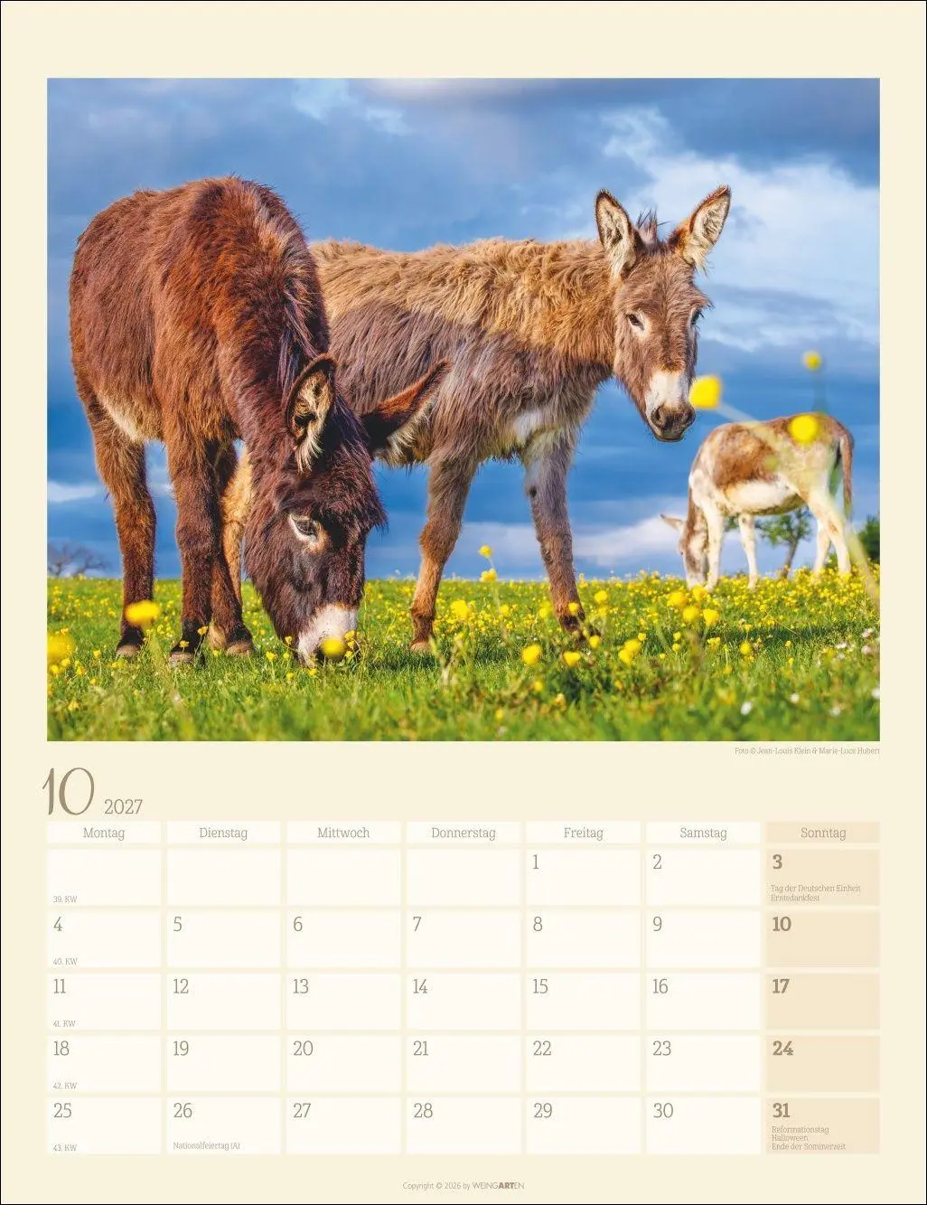 Bild: 9783839903667 | Esel Kalender 2027 | Marie-Luce Hubert | Kalender | Spiralbindung
