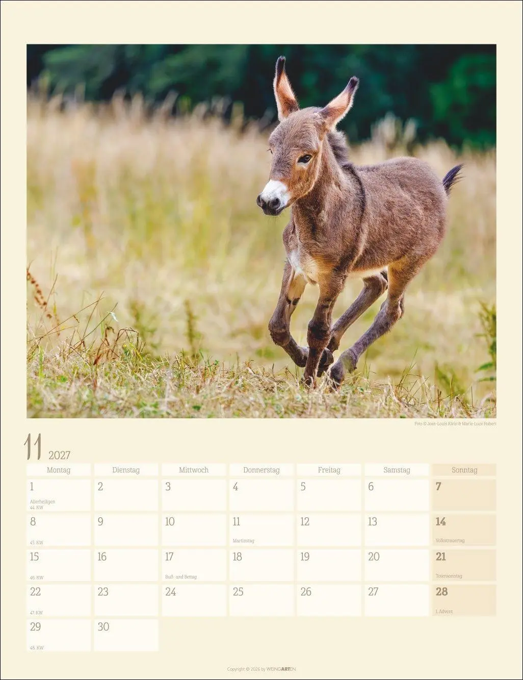 Bild: 9783839903667 | Esel Kalender 2027 | Marie-Luce Hubert | Kalender | Spiralbindung